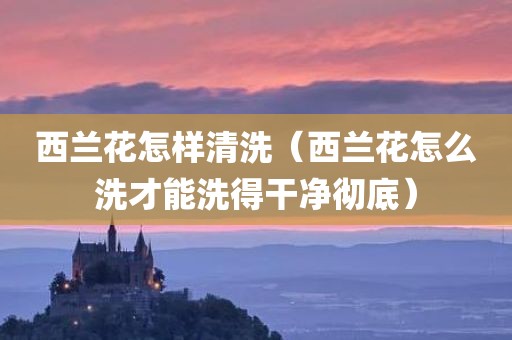 西兰花怎样清洗（西兰花怎么洗才能洗得干净彻底）