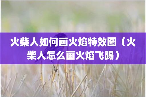 火柴人如何画火焰特效图（火柴人怎么画火焰飞踢）