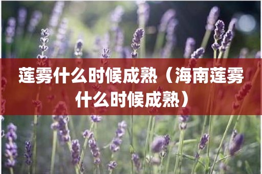 莲雾什么时候成熟（海南莲雾什么时候成熟）