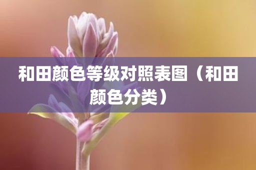 和田颜色等级对照表图（和田颜色分类）