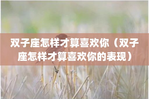 双子座怎样才算喜欢你（双子座怎样才算喜欢你的表现）