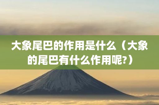 大象尾巴的作用是什么（大象的尾巴有什么作用呢?）