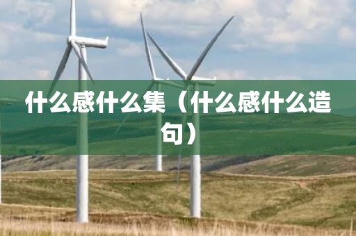 什么感什么集(什么感什么造句)