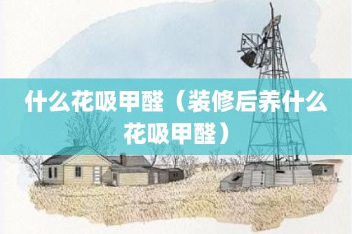 什么花吸甲醛（装修后养什么花吸甲醛）