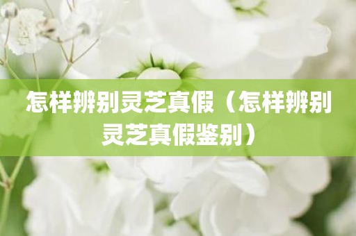怎样辨别灵芝真假（怎样辨别灵芝真假鉴别）