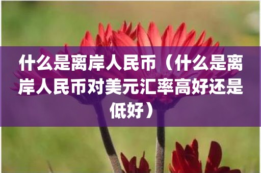什么是离岸人民币（什么是离岸人民币对美元汇率高好还是低好）