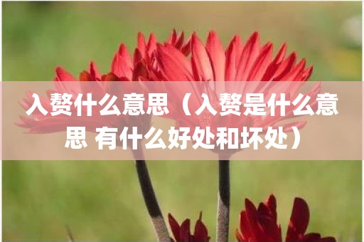 入赘什么意思（入赘是什么意思 有什么好处和坏处）