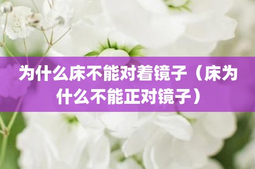 为什么床不能对着镜子（床为什么不能正对镜子）