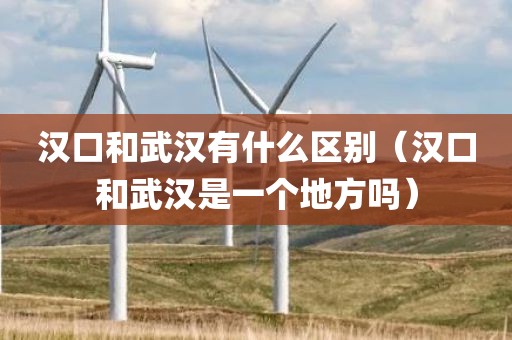 汉口和武汉有什么区别（汉口和武汉是一个地方吗）