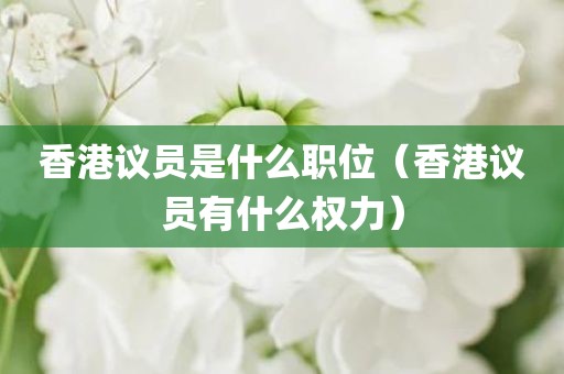 香港议员是什么职位（香港议员有什么权力）