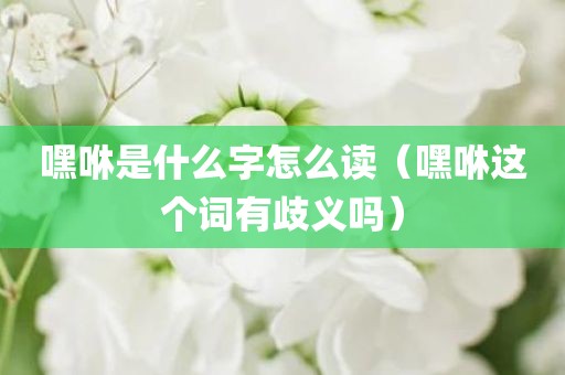 嘿咻是什么字怎么读（嘿咻这个词有歧义吗）