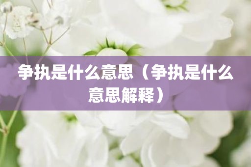 争执是什么意思（争执是什么意思解释）