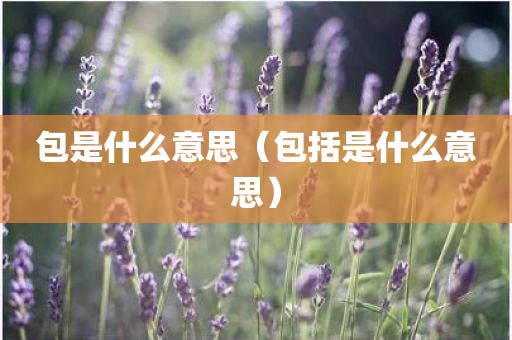 包是什么意思(包括是什么意思)