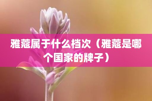 雅蔻属于什么档次（雅蔻是哪个国家的牌子）
