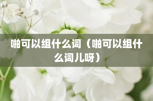 啪可以组什么词（啪可以组什么词儿呀）