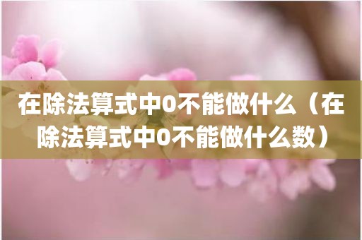 在除法算式中0不能做什么（在除法算式中0不能做什么数）