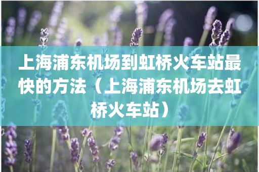 上海浦东机场到虹桥火车站最快的方法（上海浦东机场去虹桥火车站）