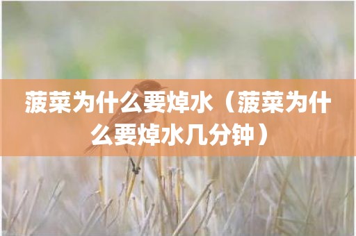 菠菜为什么要焯水（菠菜为什么要焯水几分钟）