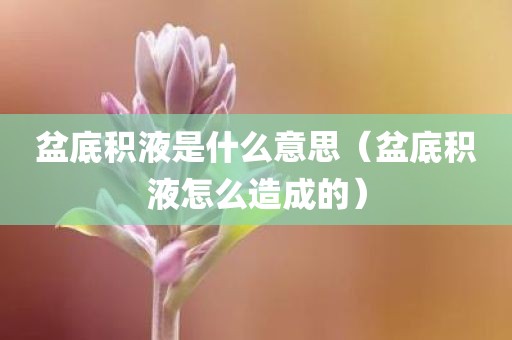 盆底积液是什么意思（盆底积液怎么造成的）