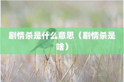 剧情杀是什么意思（剧情杀是啥）