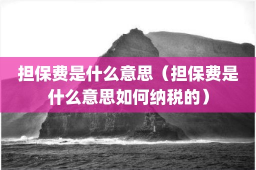 担保费是什么意思（担保费是什么意思如何纳税的）
