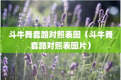 斗牛舞套路对照表图（斗牛舞套路对照表图片）