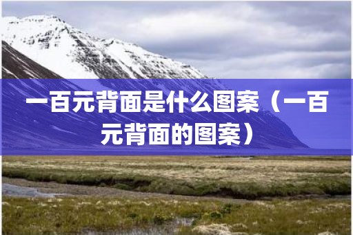 一百元背面是什么图案（一百元背面的图案）