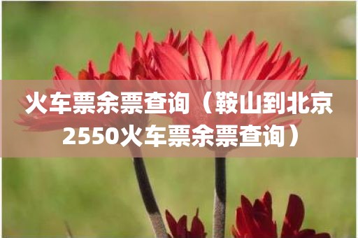 火车票余票查询（鞍山到北京2550火车票余票查询）