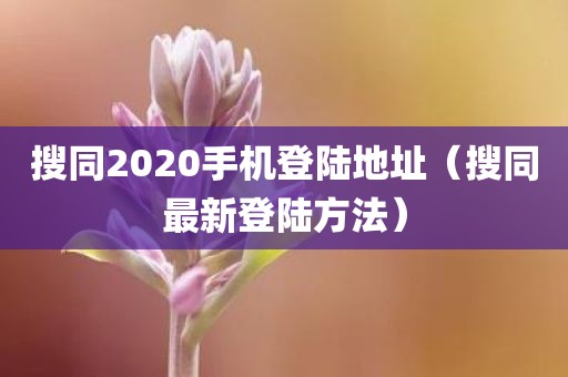 搜同2020手机登陆地址(搜同最新登陆方法) 搜同2020手机登陆地址(搜同最新登陆方法)
