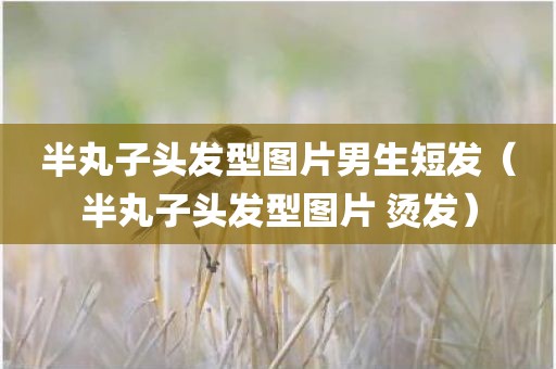 半丸子头发型图片男生短发(半丸子头发型图片 烫发)