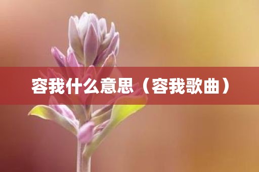 容我什么意思（容我歌曲）