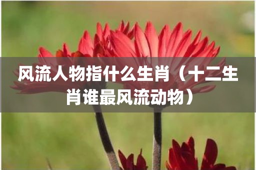 风流人物指什么生肖（十二生肖谁最风流动物）