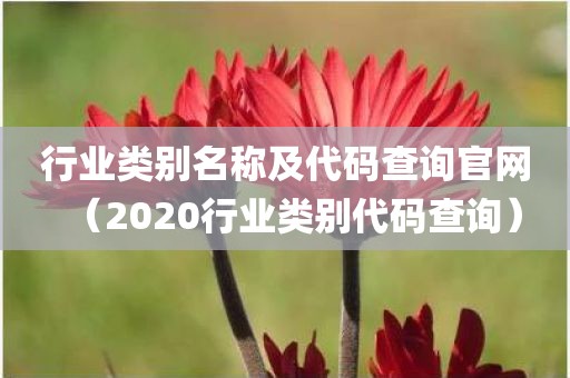 行业类别名称及代码查询官网（2020行业类别代码查询）