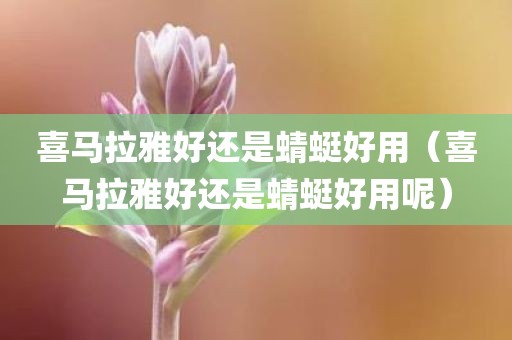 喜马拉雅好还是蜻蜓好用（喜马拉雅好还是蜻蜓好用呢）