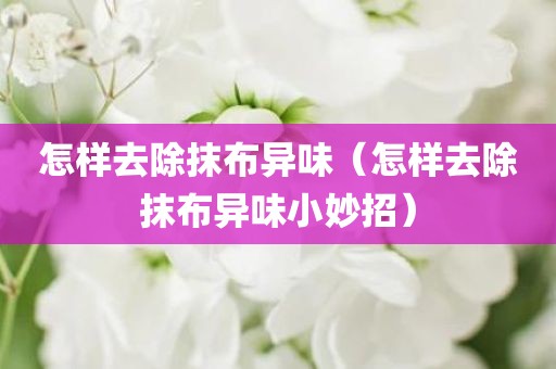 怎样去除抹布异味（怎样去除抹布异味小妙招）