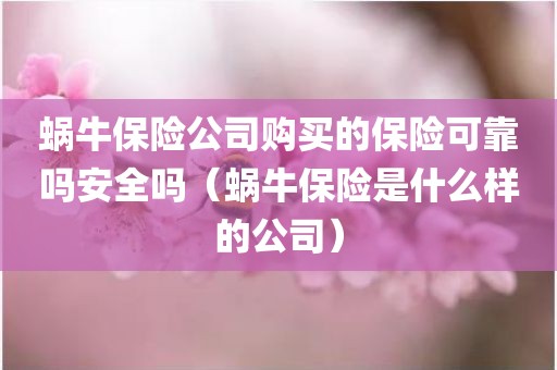 蜗牛保险公司购买的保险可靠吗安全吗（蜗牛保险是什么样的公司）