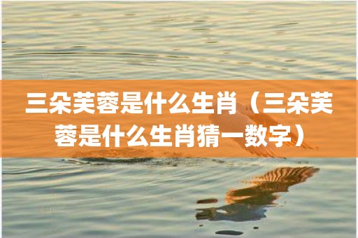 三朵芙蓉是什么生肖(三朵芙蓉是什么生肖猜一数字)