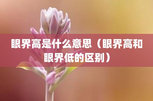 眼界高是什么意思（眼界高和眼界低的区别）
