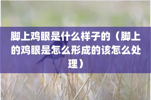 脚上鸡眼是什么样子的(脚上的鸡眼是怎么形成的该怎么处理)