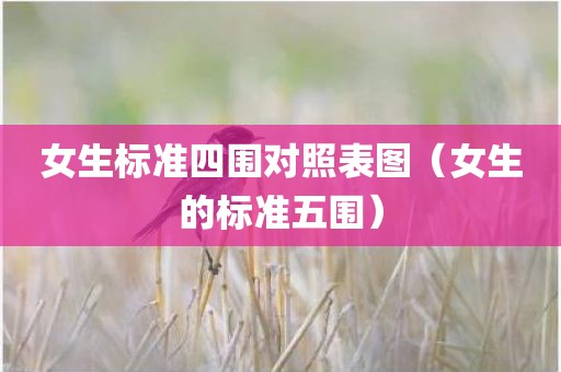 女生标准四围对照表图（女生的标准五围）