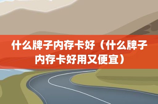 什么牌子内存卡好（什么牌子内存卡好用又便宜）