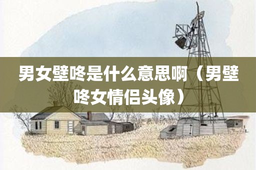 男女壁咚是什么意思啊（男壁咚女情侣头像）
