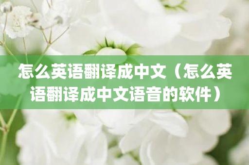 怎么英语翻译成中文（怎么英语翻译成中文语音的软件）