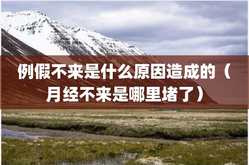 例假不来是什么原因造成的（月经不来是哪里堵了）