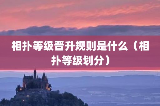 相扑等级晋升规则是什么（相扑等级划分）
