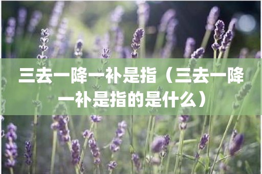 三去一降一补是指（三去一降一补是指的是什么）
