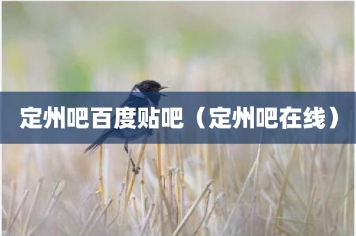 定州吧百度贴吧（定州吧在线）