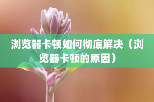 浏览器卡顿如何彻底解决（浏览器卡顿的原因）