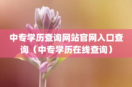 中专学历查询网站官网入口查询(中专学历在线查询)