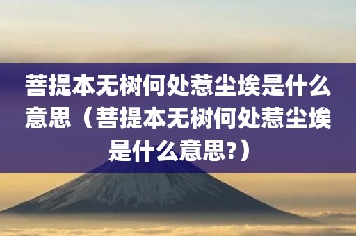 菩提本无树何处惹尘埃是什么意思（菩提本无树何处惹尘埃是什么意思?）